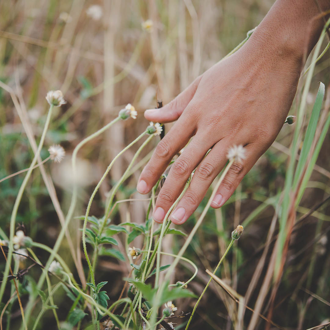 Galeria_0000_mujer-que-toca-mano-en-la-hierba-en-el-campo
